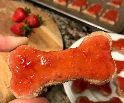 homemade peanut butter dog treats